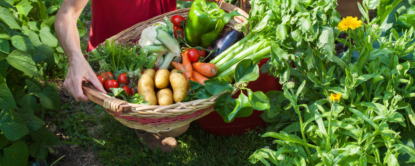le verdure bofrost